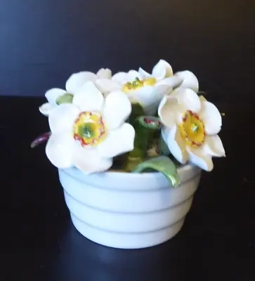 Buy Vintage Aynsley England Fine Bone China Miniature Flowers Narcissus Display • 12£