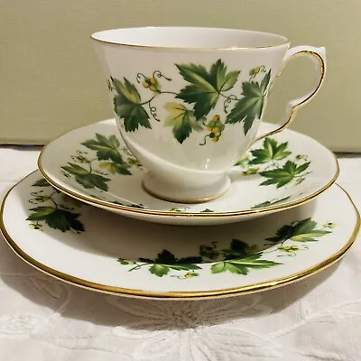 Buy Vintage Queen Anne Bone China Green Leaf Vine Tea Cup, Saucer & Side Plate VGC • 2.99£