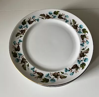 Buy Sutherland Bone China Dinner Plate Set • 20£