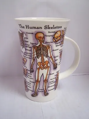 Buy  Dunoon Large Mug The Human Body Skeleton Muscles Jane Goodwin Bone China Unused • 15£