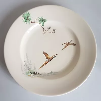 Buy Royal Doulton 'The Coppice' Dinner Plates 22cm • 8£