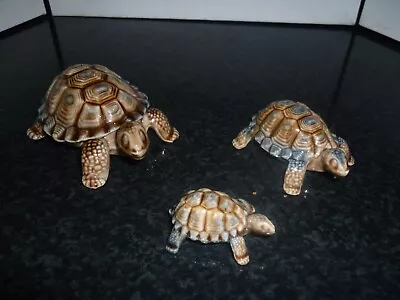Buy Wade Vintage Tortoise Family • 25£