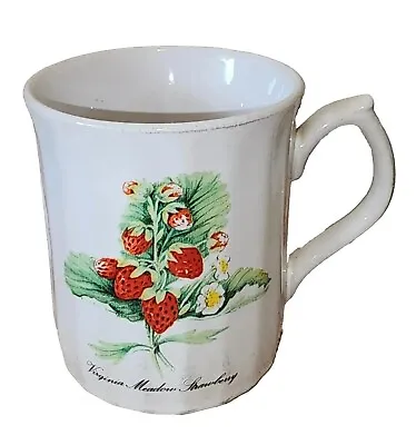 Buy Vintage Coffee Mug Virginia Meadow Strawberry Tea Cup Fruit Theme Classic • 1.42£