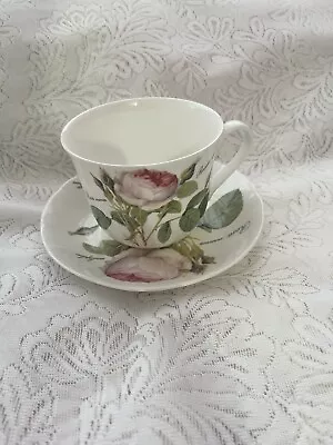 Buy Roy Kirkham Breakfast Cup And Saucer 'Redoute Rose' Large Cup & Saucer  • 20£