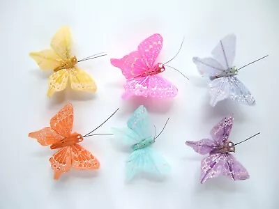 Buy 12 Decorative Pastel Vein  Feather Butterflies 45-50mm, Assorted Or One Colour • 2.20£