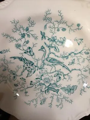 Buy Vintage Coalport Bone China Porcelain Tea Plate Scalloped 18cm AD1750 • 8.90£