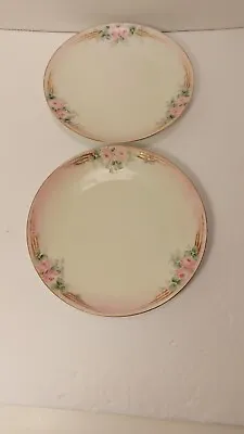 Buy Antique Handpainted Floral Rose Pattern 7 1/2  Plates Set Of 2 Bavarian • 7.71£