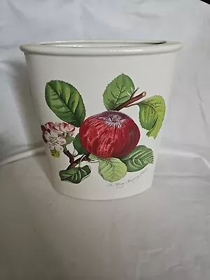 Buy Portmeirion Pottery Pomona 'The Hoary Morning Apple' Marquise Vase • 18£