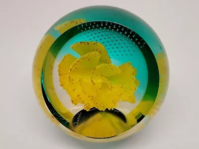 Buy Caithness Yellow Carnation Paperweight • 33£