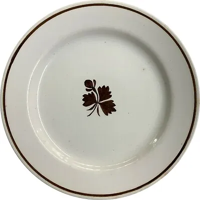 Buy Alfred Meakin Royal Ironstone China 6 3/4  Bread / Butter Plate Tea Leaf England • 16.27£