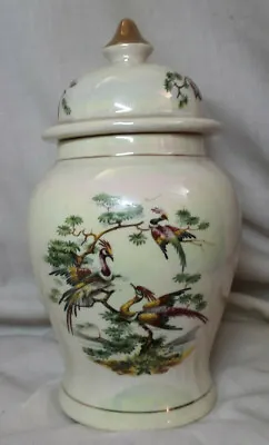 Buy Sadler Ginger Jar Birds In Tree Design Vintage  7” • 14£