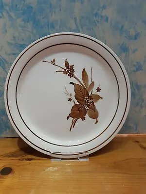 Buy EIT English Ironstone Tableware, Brown Floral Design, Dinner Plate 10'' 25cm • 3.99£