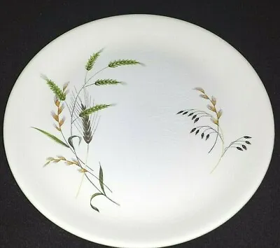 Buy Ridgway Canadiana Staffordshire Grasses 10 Inch Dinner Plate X1 C1955-64 (6 Ava) • 8.99£
