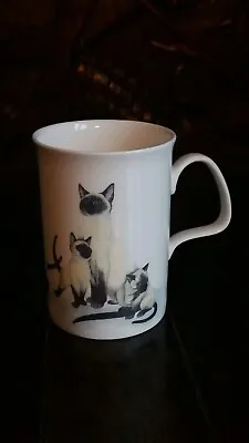 Buy Roy Kirkham Cat Lover Mug Siamese Cats - KM Hassell - Made In England Gift Idea • 15£