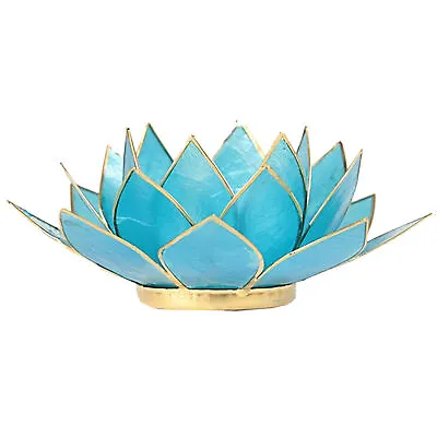 Buy Chakra Candle Holder Lotus Flower Capiz Shell Tea Light Holder With Gold Trim  • 14.49£