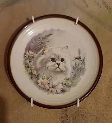 Buy Small Cute White Cat Plate On Hanger Purbeck Pottery  • 7.99£