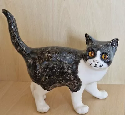 Buy Winstanley Size 5 Pottery Cat Black & White Cathedral Glass Eyes Brand New • 90£
