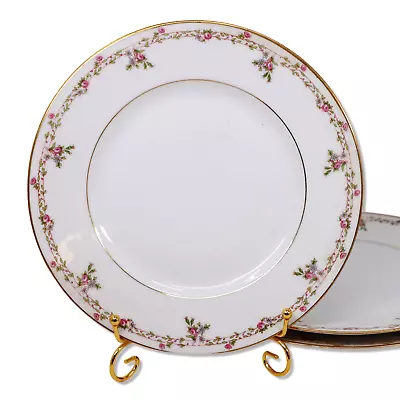Buy B&Co L Bernardaud Limoges 8 1/2  Luncheon Plate Pink Rose Gold Rim 1900 • 11.53£
