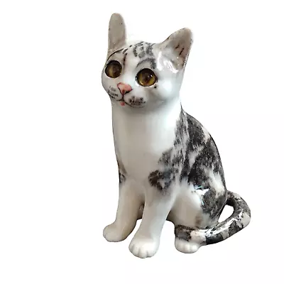 Buy Jenny Winstanley Cat With Glass Eyes No 3 • 24.99£