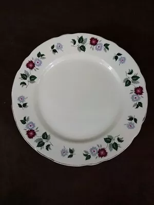Buy Royal Cauldon Glendale Dinner Plates 10.5  Set Of 6 White Floral Gold Detail • 15£