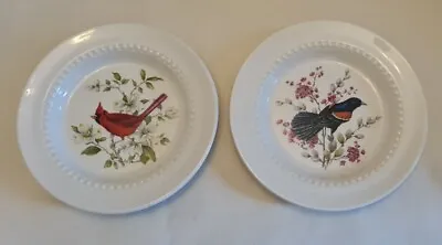 Buy Royal Cauldon Pair Of Ornamental Plates Birds Decorative • 5£