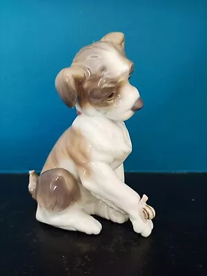 Buy Lladro  New Friend  Dog With Snail Figurine #6211 - Excellent Condition • 2.99£