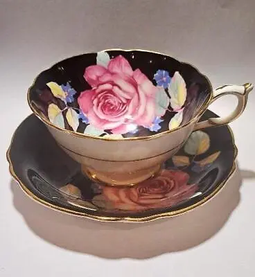 Buy Rare Vintage Paragon China Large Cabbage Rose On Black Tea Cup And Saucer • 65£