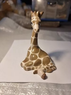 Buy Szeiler Sitting Giraffe • 18£