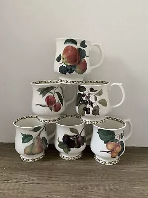 Buy Queens Royal Horticultural Society Hooker Fruit Fine Bone China  Mugs Set Of Six • 30£