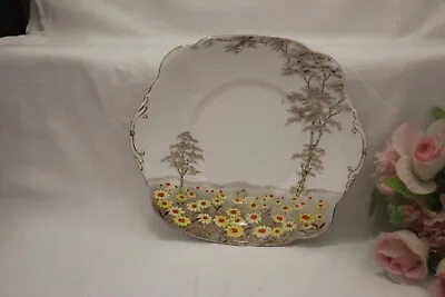 Buy 10919d  Royal Standard Daisyfield Bone China Cake Plate  26cm Hand Painted • 12£