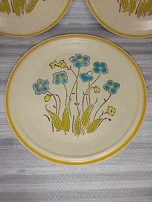 Buy Vtg. 12 Inch Hearthside Garden Festival HIGHLAND FLOWERS Plate/Serving Platter • 15.65£