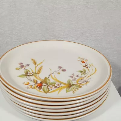 Buy Marks & Spencer Harvest Glazed Stoneware Large Dinner Plates 27cm 10.5  X 7 Rare • 22.49£
