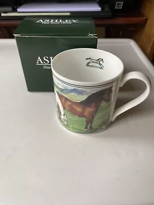 Buy Ashley Fine Bone China Welsh Mountain Pony Native Breeds Mug Cup Tea Coffee NEW • 18.99£