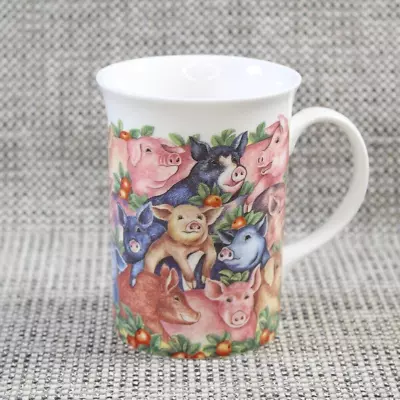 Buy Queen's Churchill Fine Bone China Mug Cup Farmyard Pigs Pattern Made In England • 9.99£