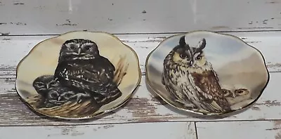 Buy Fenton China Company - Miniature Owl Plates - Item 46 • 2.50£