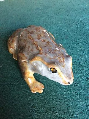 Buy Large Winstanley Pottery Frog/toad Size 5 - Glass Eyes + Signed • 65£