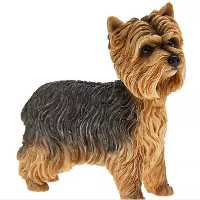Buy Yorkshire Terrier Dog Statue Ornament - BNIB Yorkie Dog Statue Figurine • 8.99£