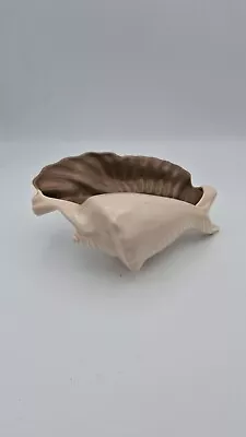 Buy Poole Pottery Twintone Shell. Mushroom Sepia Conch Shell. Vintage • 19.99£