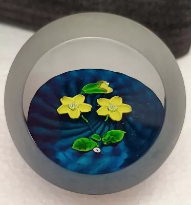 Buy Rare Caithness Paperweight Limited Edition Primrose- Whitefriars Edition 239/250 • 32£