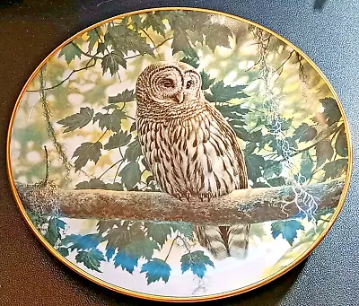Buy Vintage Ltd Edition Danbury Mint Owls Of North America Shady Retreat Bird Plate • 9.99£
