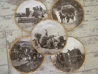 Buy 5 X Vintage Nelson China Staffordshire Agricultural Photo Plates With Gold Rim • 25£