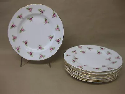Buy 8 Vintage Duchess Bone China Tea Plates 6 1/2  ~ Pink Rose Buds / Ditsy Rose • 12.99£