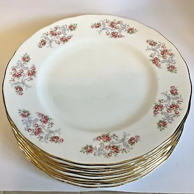 Buy 6 Pink Rose Bone China Dinner Plates Gainsborough Matches Royal Osbourne 27cm • 33£