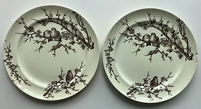 Buy George Jones & Sons “Almonds” - Ten And A Half Inch Diameter Plates X Two -Used • 6£