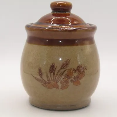Buy Vintage Stoneware Earthenware Storage Jar Pot With Lid Sugar Jar Etc • 7.95£