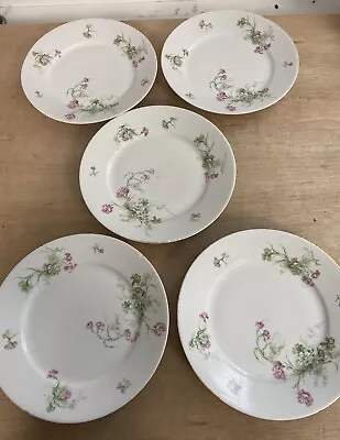 Buy French Limoges 23.2cm Diameter Plates X 5. White With Pink Floral Design • 15£