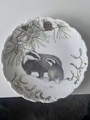 Buy Royal Albert The Country Walk Collection Plate - Winter Harmony Badger - 21 Cm • 0.99£