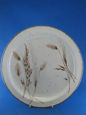 Buy Midwinter Stonehenge Wild Oats Pattern Large Plate 10.5  In Excellent Condition • 7£