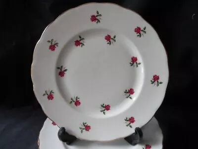 Buy Colclough Bone China Fragrance - Pink Rose Bud  - 10 1/2 Inch Dinner Plate • 6£