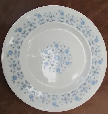 Buy ROYAL DOULTON GALAXY TC 1038 DINNER WARE Side Plate 16.5cm Floral Blue  • 9.99£
